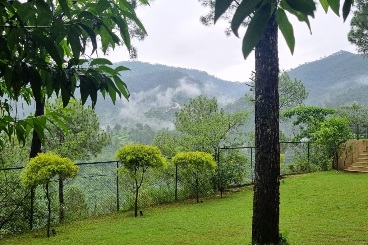 WhatsApp Image 2025-10-07 at 17.13.07_c50a7ac6